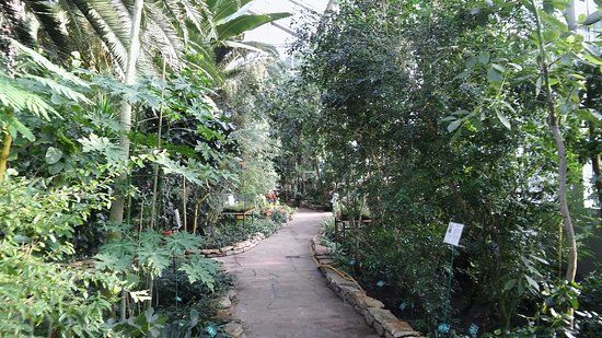 Palm House