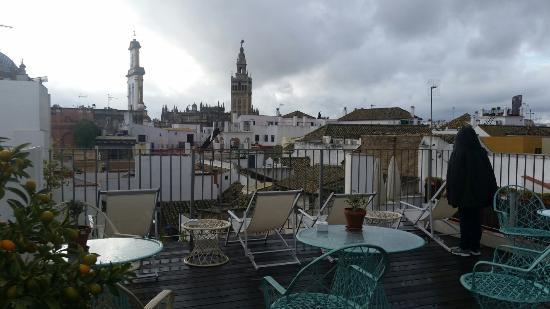 Hotel Amadeus