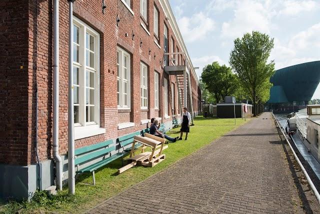 Scheepskameel