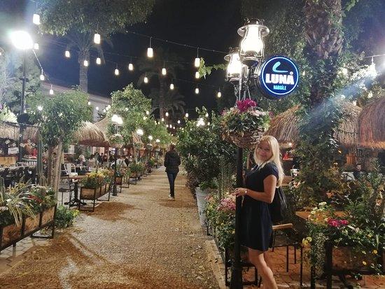 Luna Garden