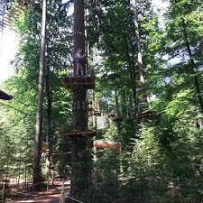 Klimbos Veluwe