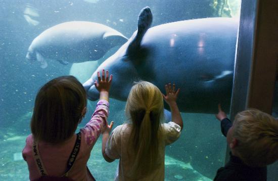Odense Zoo