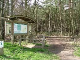 Helleketelbos