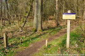 Leuvenumse Bos