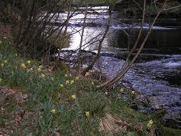 Warche
