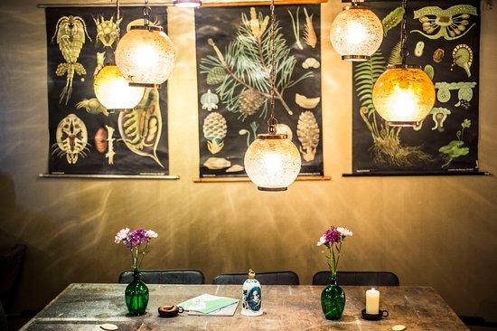 Cafe Wunderkammer