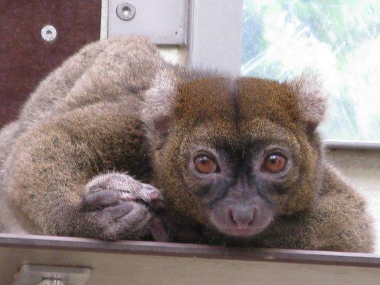 Koelner Zoo