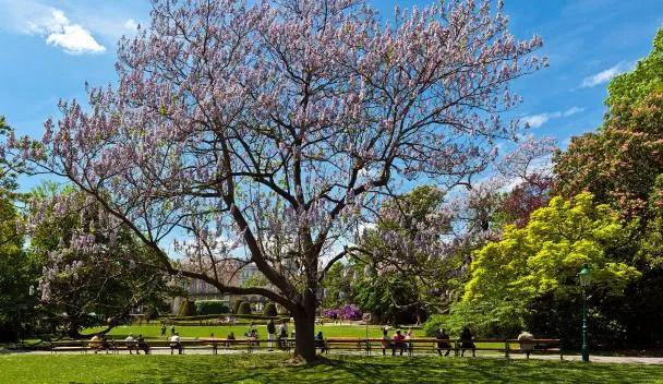 Weens stadspark