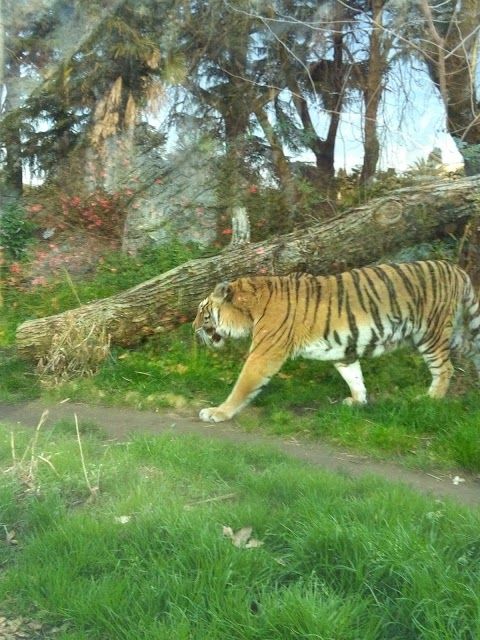 bioparco
