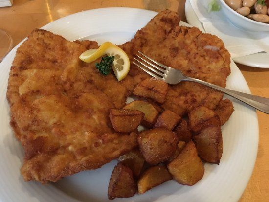Zum hungrigen Kojoten