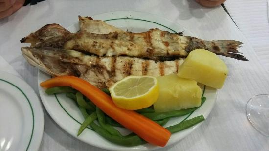 Perola do tejo