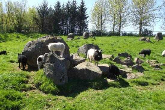 Park en Zoo Reykjavik