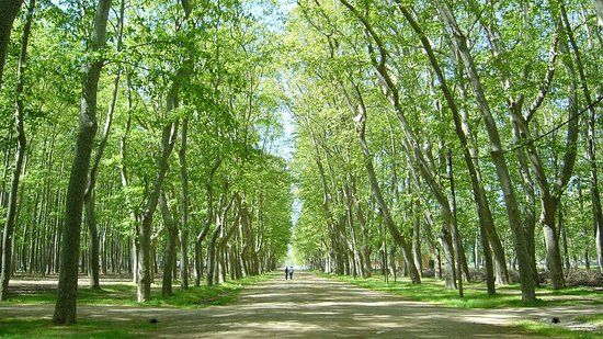 La Devesa Park