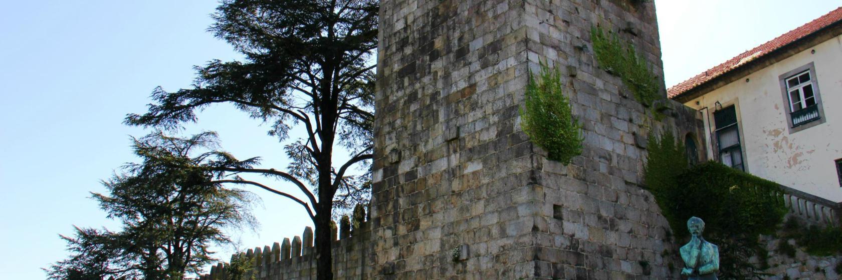 Fernandine Wall
