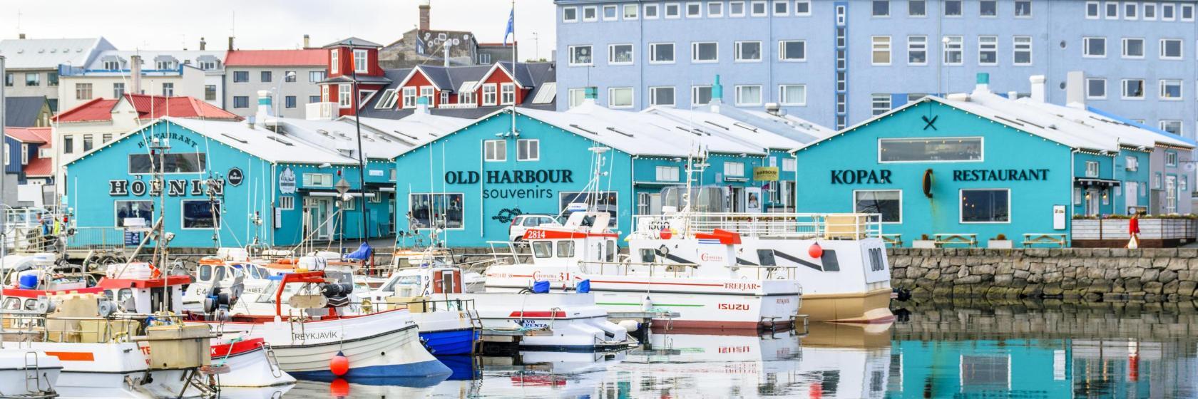 Haven van Reykjavík