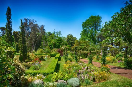 Jardins do Palheiro
