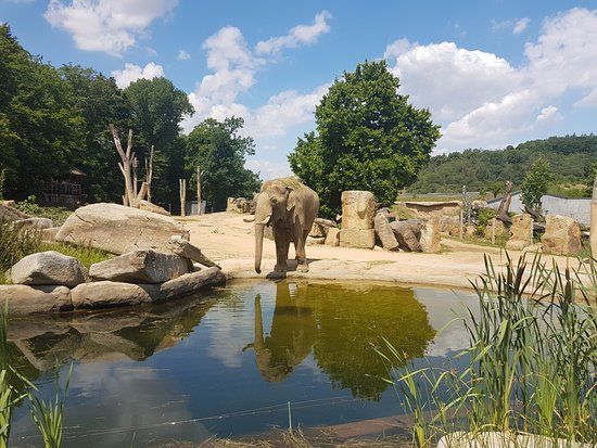 Zoo Praag